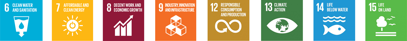 Sustainable Development Goals (SDGs)