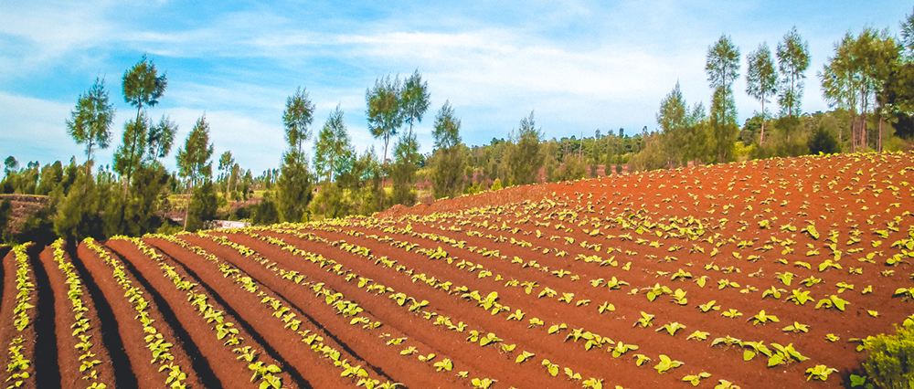 Resource efficiency banner