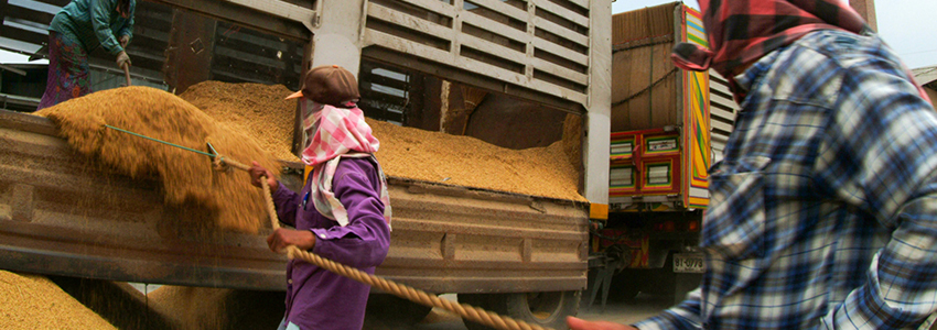 Food loss analysis case study methodology