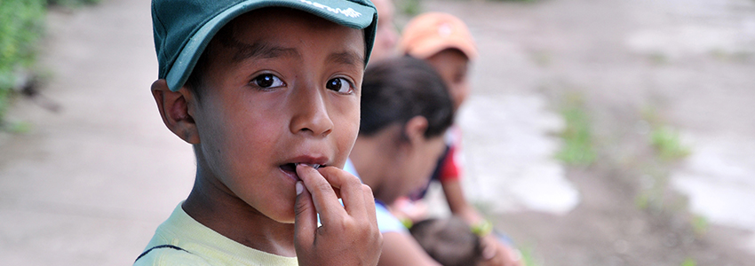 Improving Nutrition through Agriculture and Food Systems