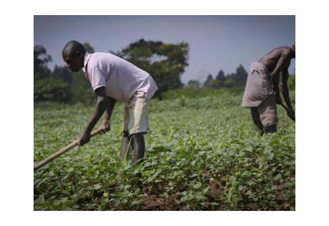 Webinar Recordings - Addressing agricultural resilience in long term climate planning instruments