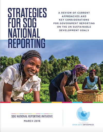 Strategies for SDG National Reporting: A Review of Current Approaches ...