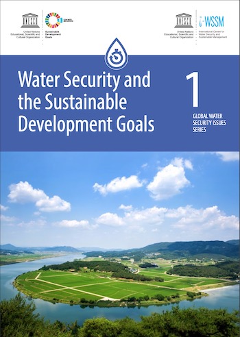 Water security and the sustainable development goals