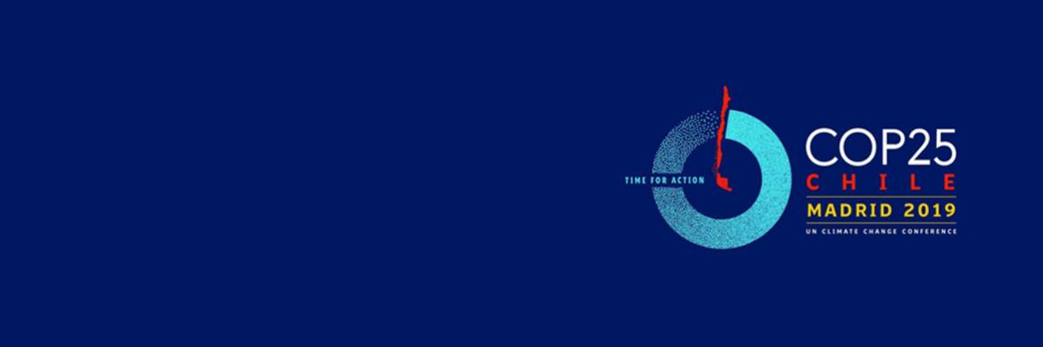 UN Climate Change Conference 2019