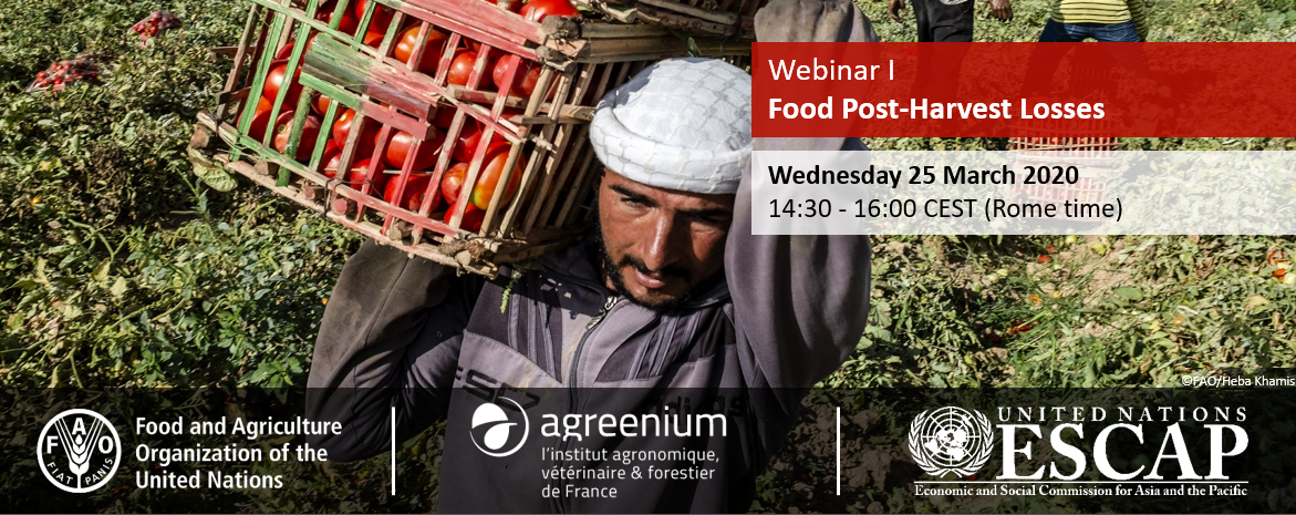First technical webinar - Sustainable Food Systems and Nutrition: Food post-harvest losses