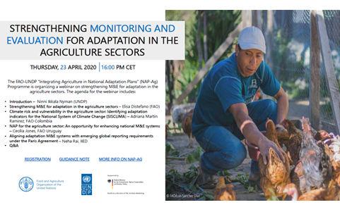 Strengthening monitoring and evaluation for adaptation in the agriculture sectors