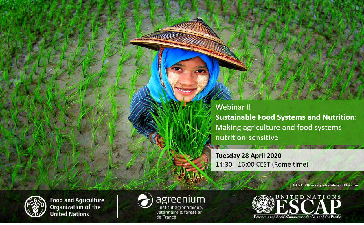 Sustainable Food Systems and Nutrition Making agriculture and food systems nutrition-sensitive