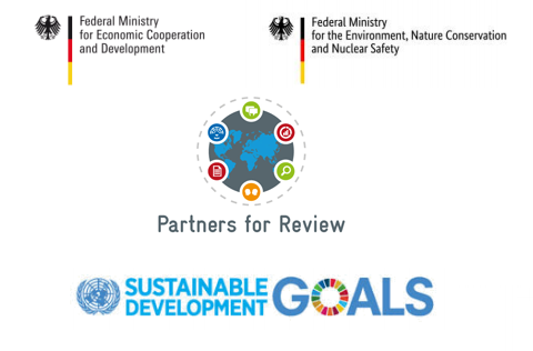 Partners for Review Virtual Networking Days