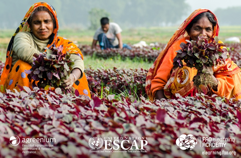 Two women sitting in a field with orange clothes