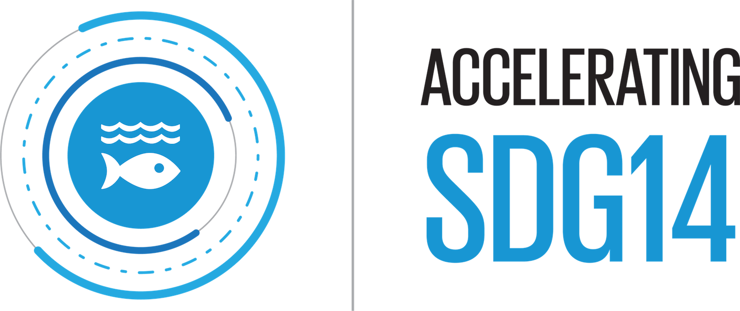 accelerating sdg14