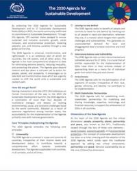 unssc primer on SD