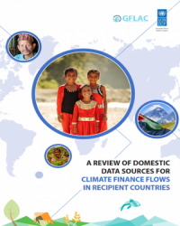 A Review of Domestic Data Sources for Climate Finance Flows in Recipient Countries