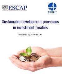 Sustainable Development Provisions in Investment Treaties