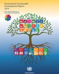 Financing for Sustainable Development Report 2019