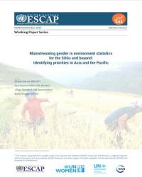 Mainstreaming gender in environment statistics for the SDGs and beyond: Identifying priorities in Asia and the Pacific