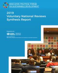 Voluntary National Reviews Synthesis Report 2019