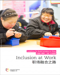 Inclusion at Work – Intellectual Disability in the Workplace