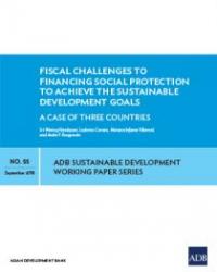 Fiscal Challenges to Financing Social Protection to Achieve the Sustainable Development Goals: A Case of Three Countries