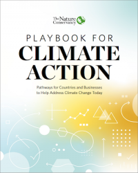 Playbook for Climate Action