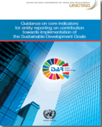Guidance on core indicators for entity reporting on contribution towards implementation of the Sustainable Development Goals