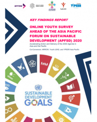 Cover for the Key Findings Report with Stylized SDG Wheel