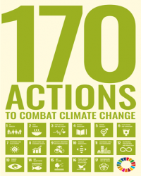 17 Actions Cover