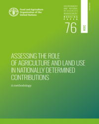 Report cover
