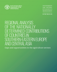 Report cover