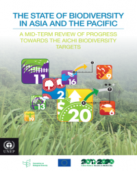 Report Cover Image 