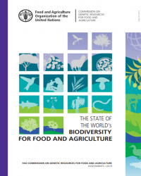 Report Cover Image 