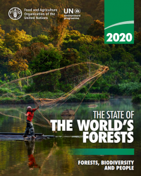 Cover Image, man fishing 