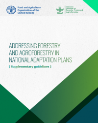 Report Cover