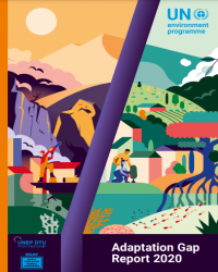 Report Cover