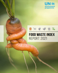 Report Cover