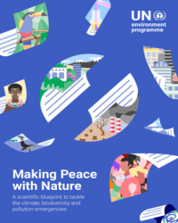 Report Cover