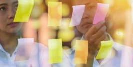 Stakeholder Engagement and Partnerships