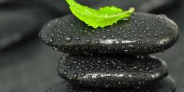 /knowledge-hub/thematic-area/means-implementation