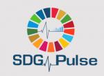 SDG Pulse