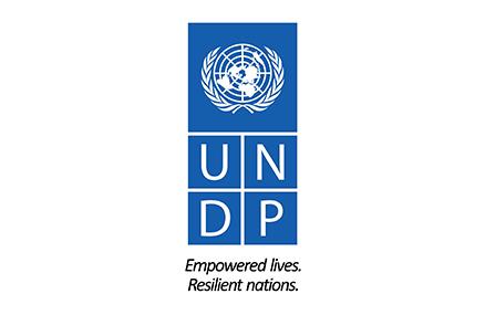 undp