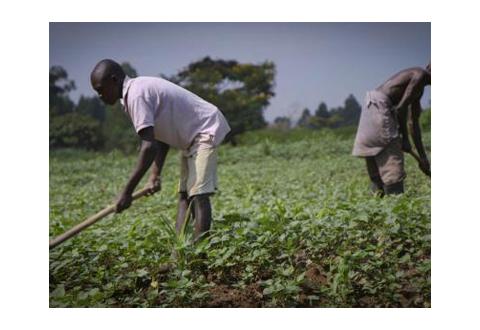 Webinar Recordings - Addressing agricultural resilience in long term climate planning instruments