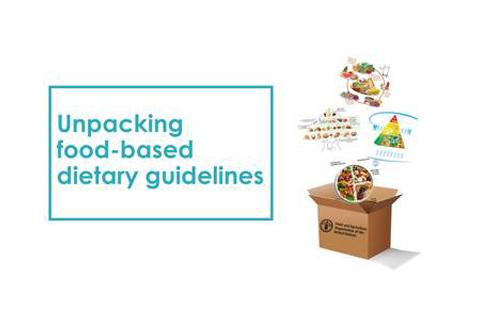 FAO Webinar Recording: Unpacking food-based dietary guidelines