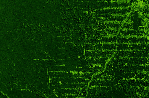 Remote Sensing of Land Indicators for Sustainable Development Goal 15