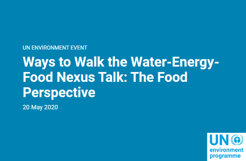 Ways to Walk the Water-Energy-Food Nexus Talk: The Food Perspective Banner Image