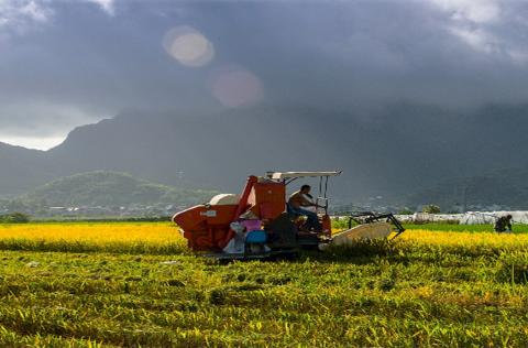 Red tractor in field with breaking clouds