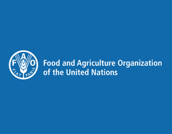 FAO logo