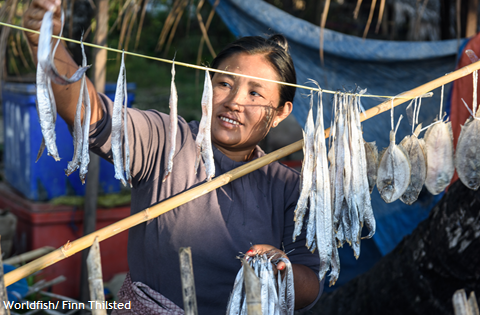 SEA Women Drying Fish