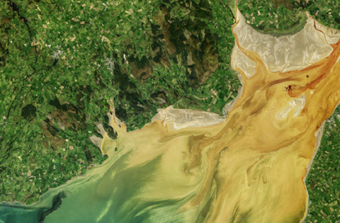 Satellite view of an estuary