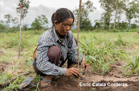 Women Farmer