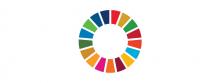 Implementing the SDGs - Applying Systems Thinking and Collaborative Approaches