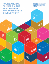 Foundational Primer on the 2030 Agenda for Sustainable Development